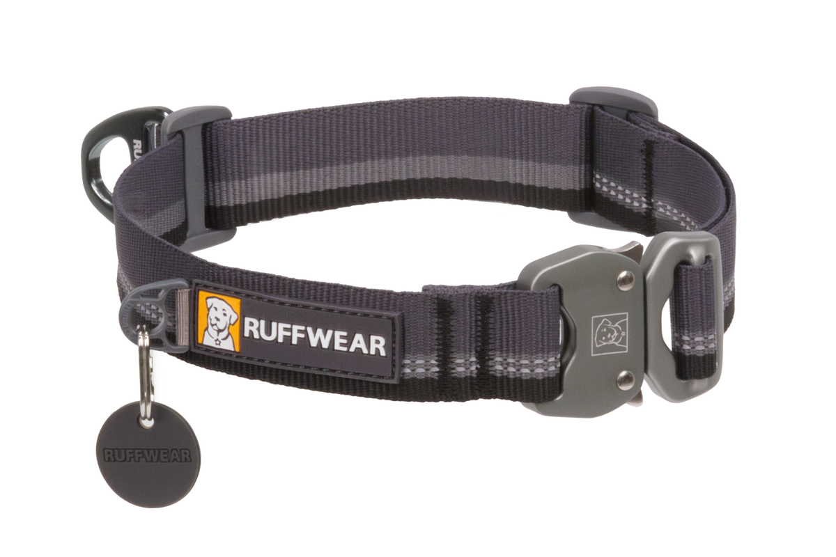 Leash and tag attachments