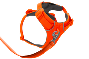 Front Range® Harness — view 4