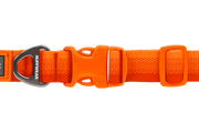Front Range®  Collar — view 2